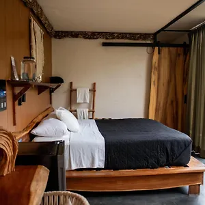 Bufo Alvarius Hotel Tulum Pueblo